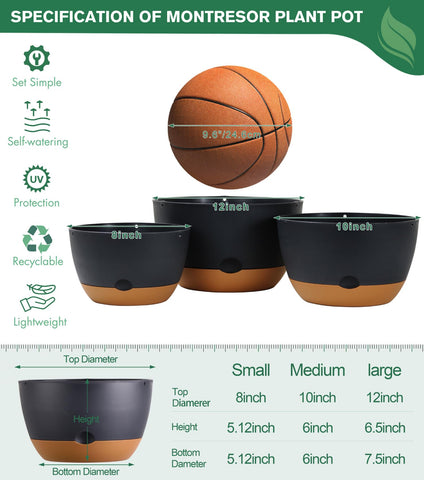 Montresor 12-inch ventilated hanging pot with drainage for healthy root airflow.