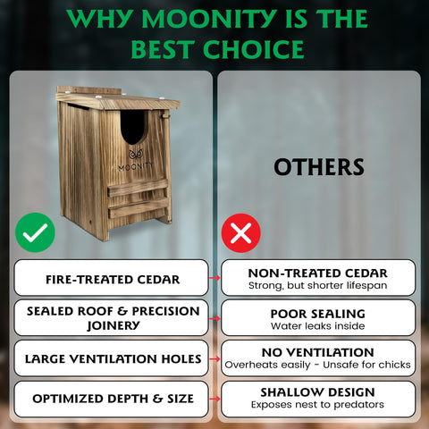 Moonity Fire-Treated Cedar Owl House interior provides roomy nest space.