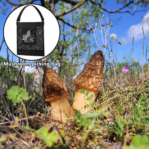Moonoom gift-ready mushroom foraging bag designed for adventurers.