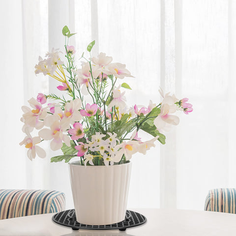 Moonoom movable plant stand helps reposition pots toward light without lifting.