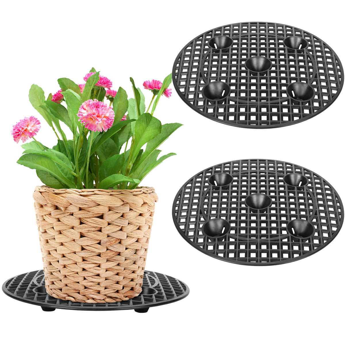 Moonoom plant level elevator supports a 12-inch pot for stable indoor use.