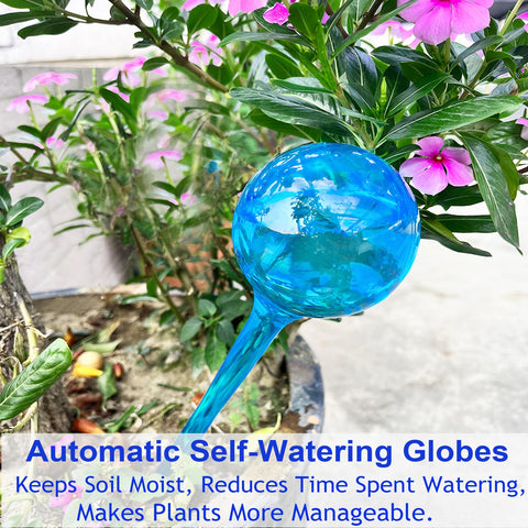 MOONSOUND eco-friendly watering globes supporting plant care routines.