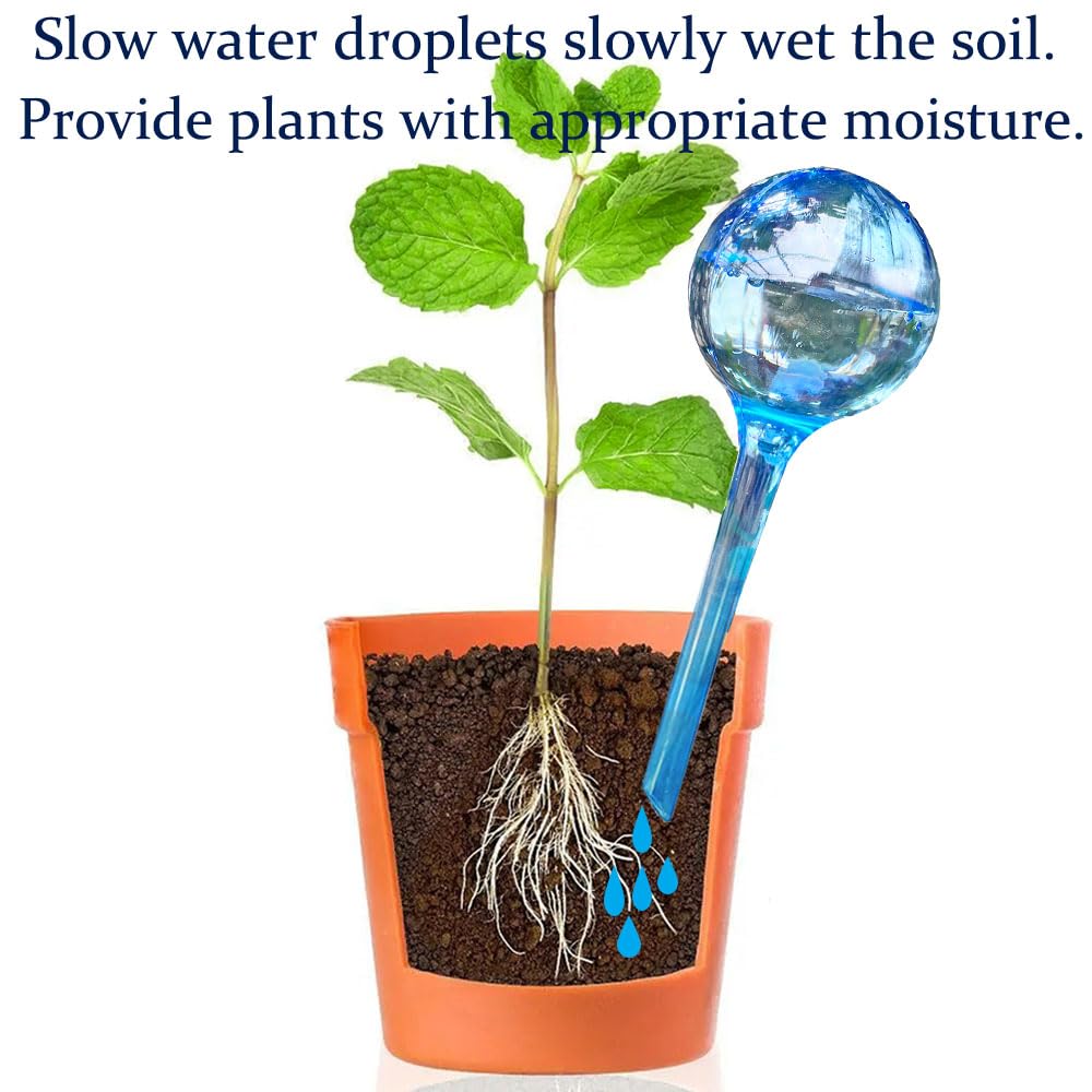 MOONSOUND globes embedded in a pot delivering steady moisture to a plant.