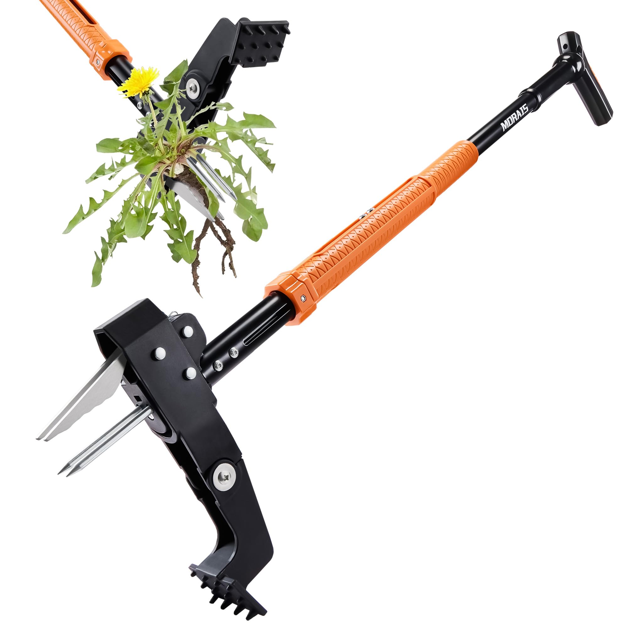Morais weed puller tool with stand-up design enables comfortable weed removal.