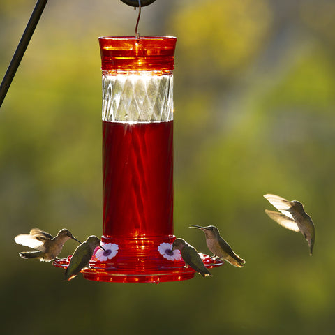 More Birds Diamond wide mouth opening and detachable base simplify refilling.