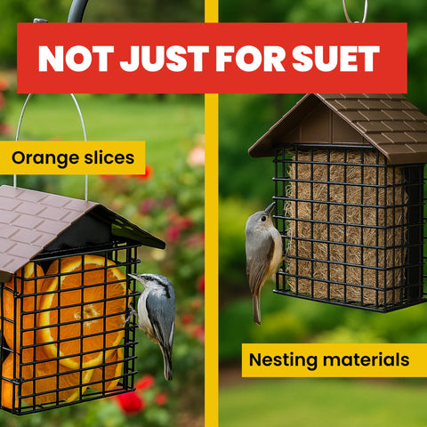 More Birds near a tree providing a reliable food source for winter birds