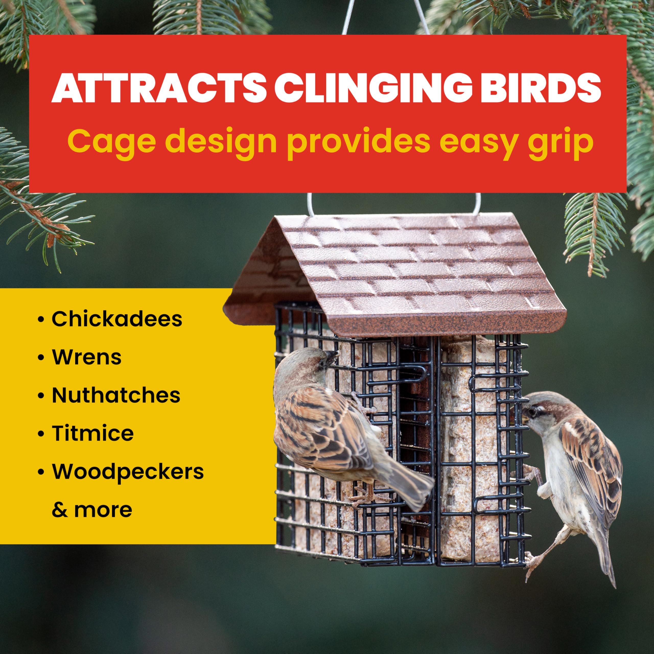 More Birds dual-compartment feeder ready for small seed cakes in spring