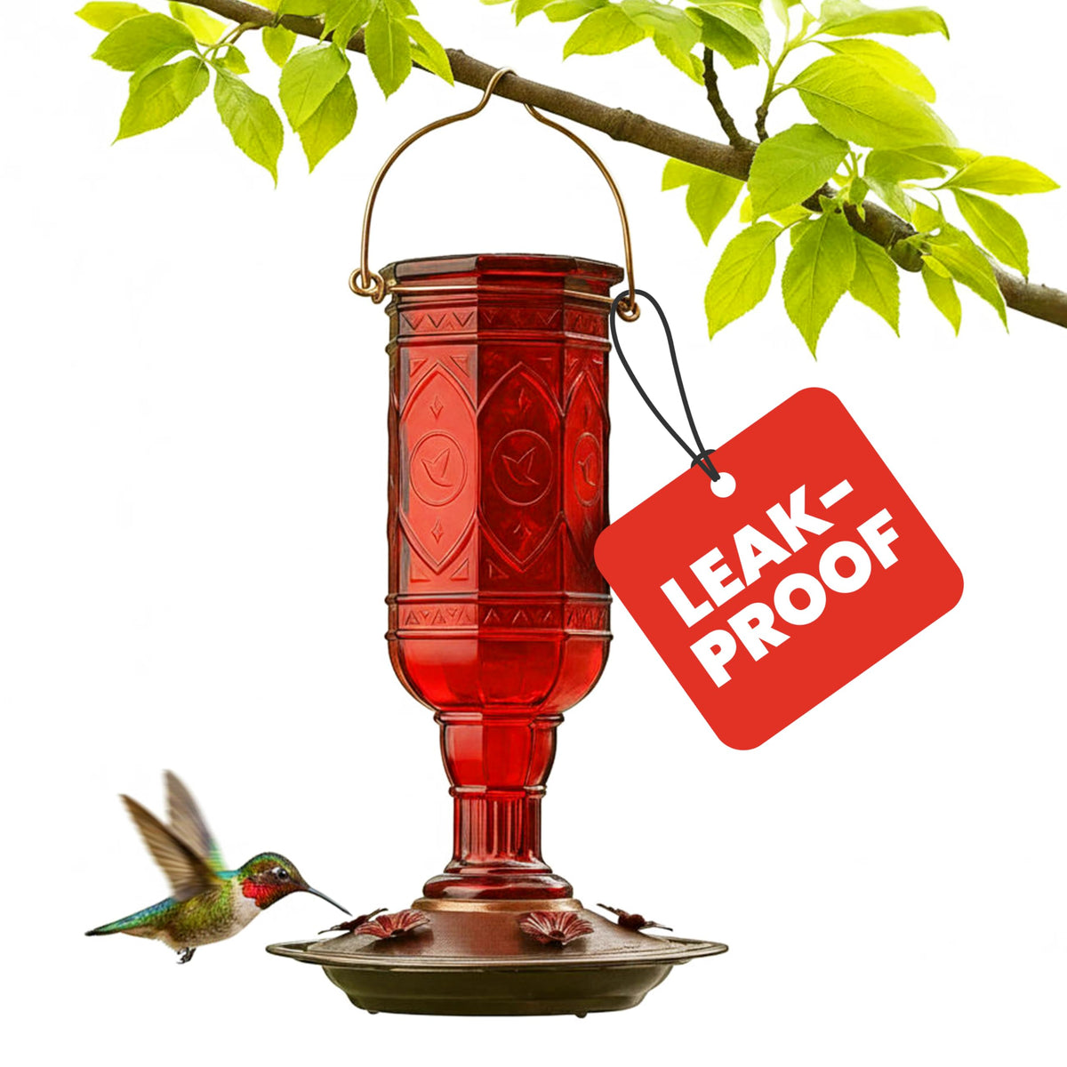 More Birds Red Jewel Hummingbird Feeder bottle closeup highlighting vivid red glass to attract hummers