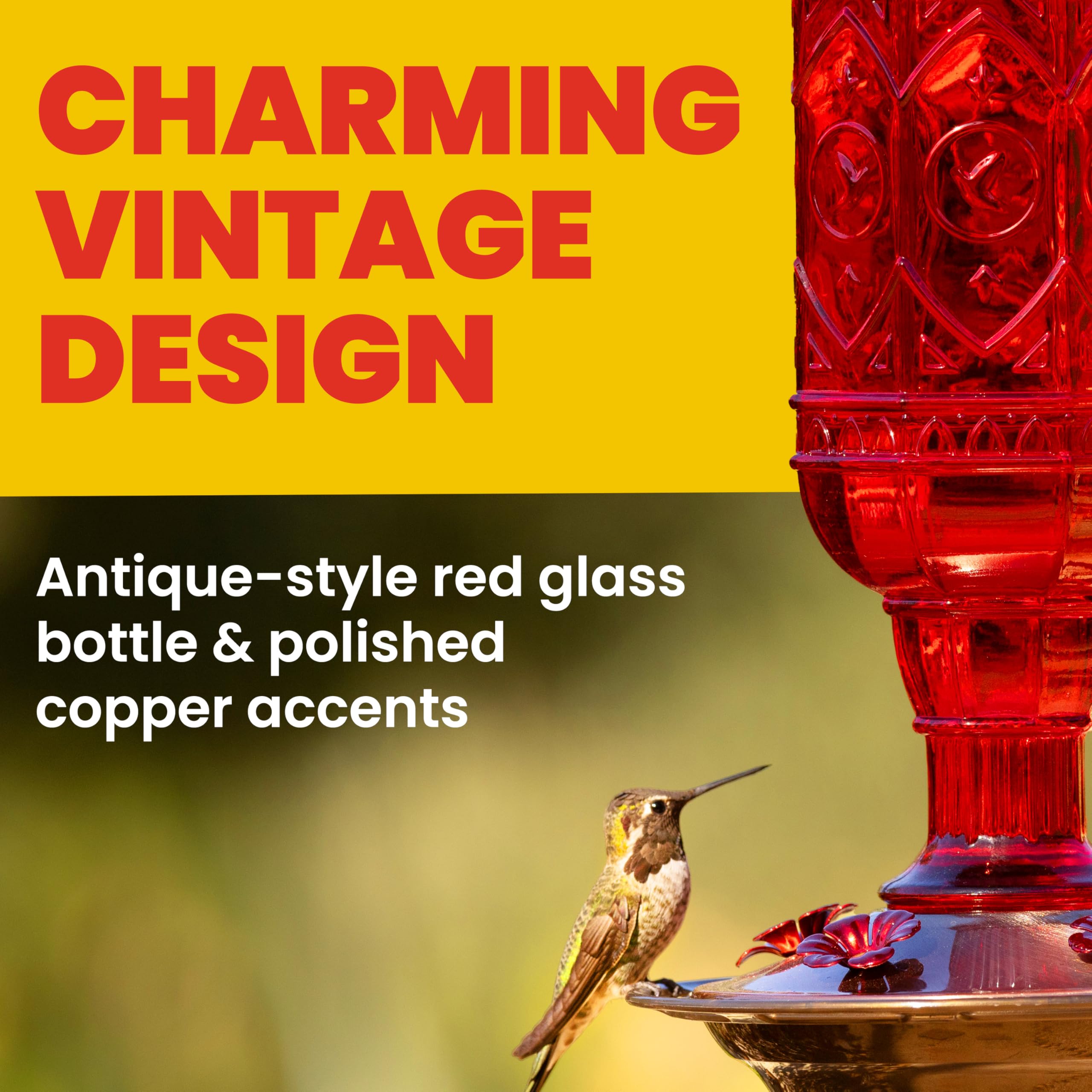 More Birds Red Jewel Hummingbird Feeder five-ports detail emphasizes easy feeding for nearby hummers