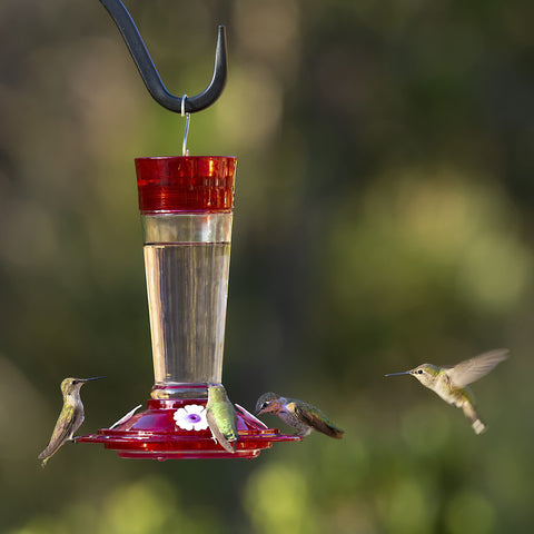 Wide mouth opening makes filling and cleaning outdoors easy
