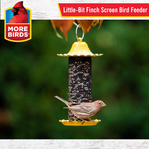 More Birds Stokes Select 38194 feeder yellow side angle highlighting easy-fill access