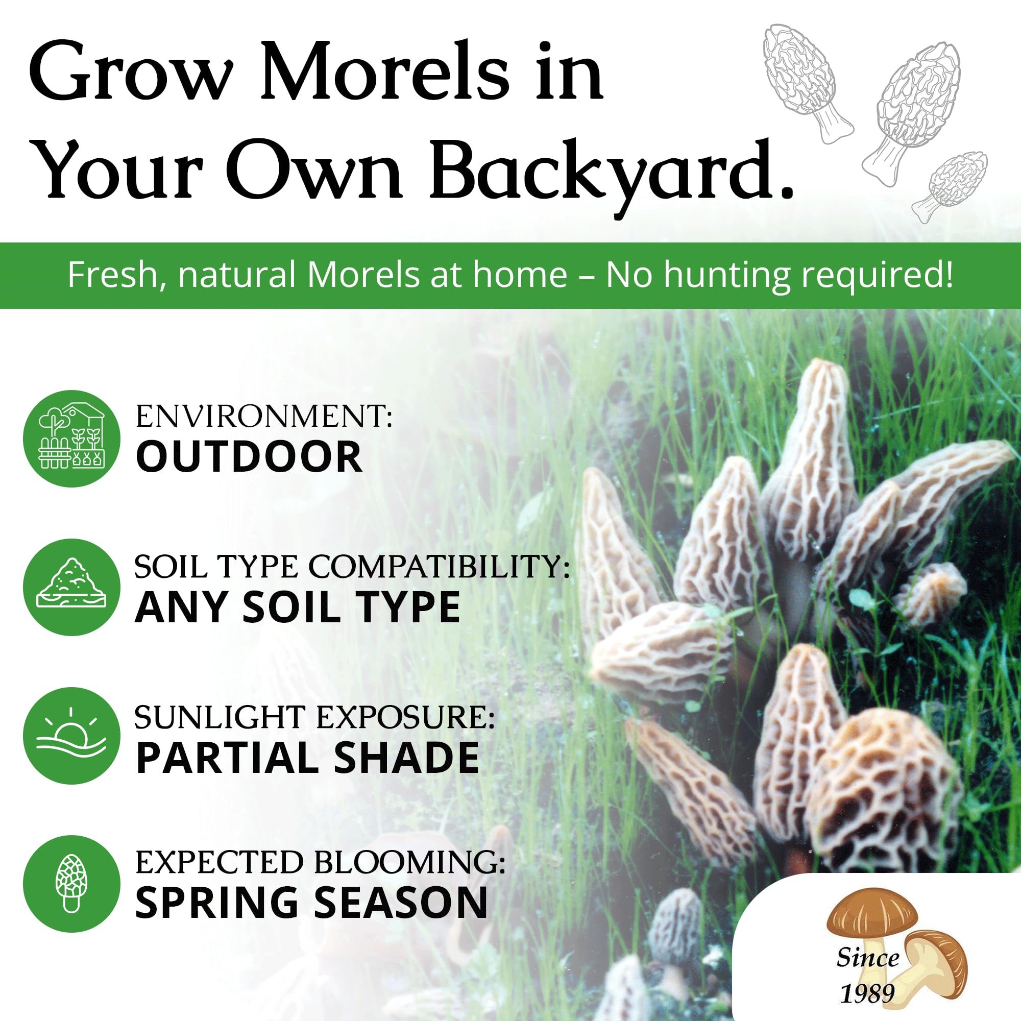MOREL HABITAT KIT backyard garden setup demonstrates versatile soil compatibility.