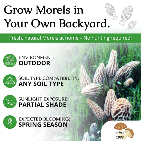 MOREL HABITAT KIT backyard garden setup demonstrates versatile soil compatibility.