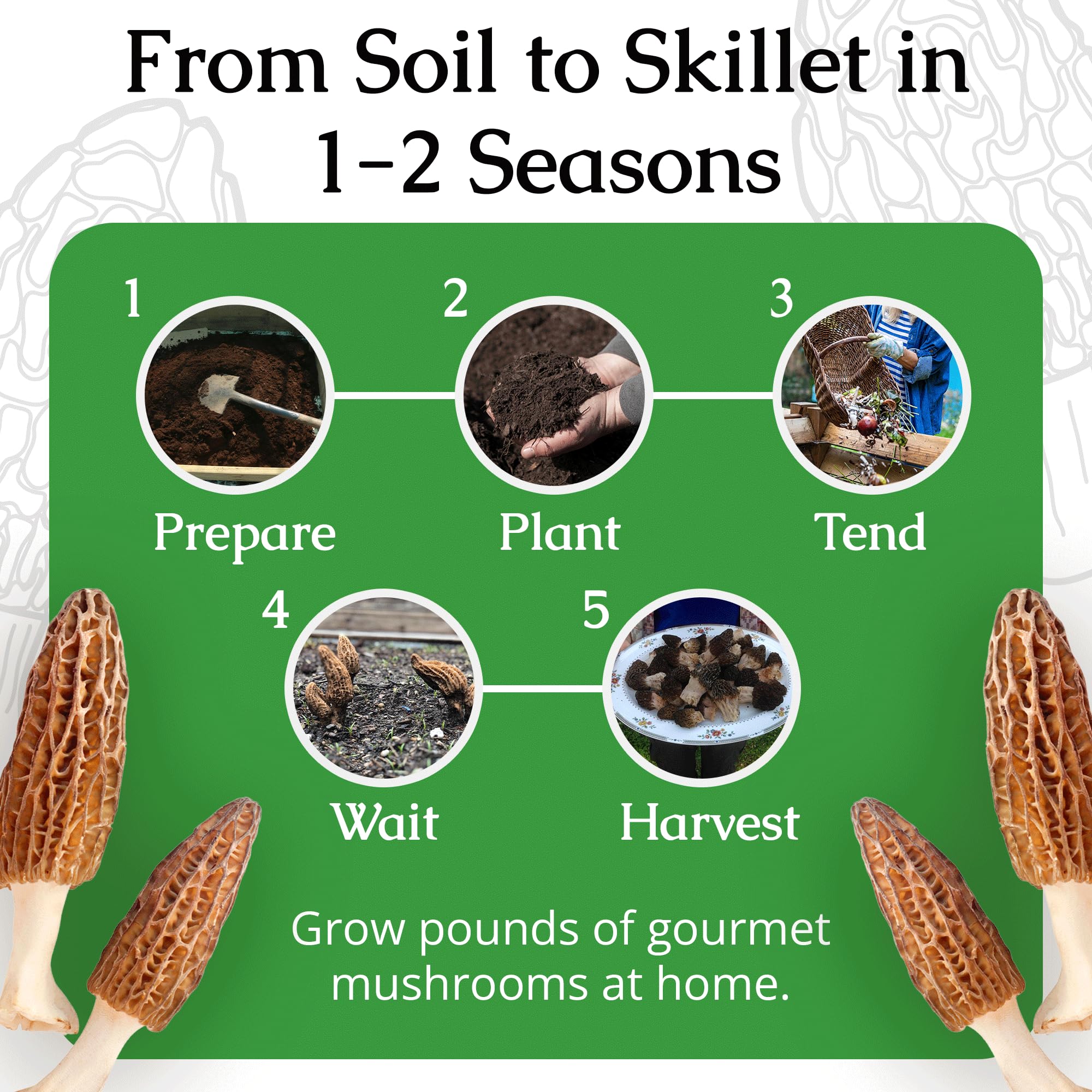 MOREL HABITAT KIT detailed instructions guide beginners through cultivation.