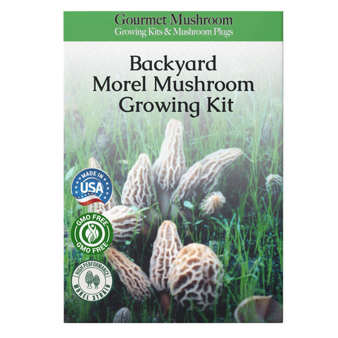 MOREL HABITAT KIT sterilized substrate shown for clean, reliable growth.