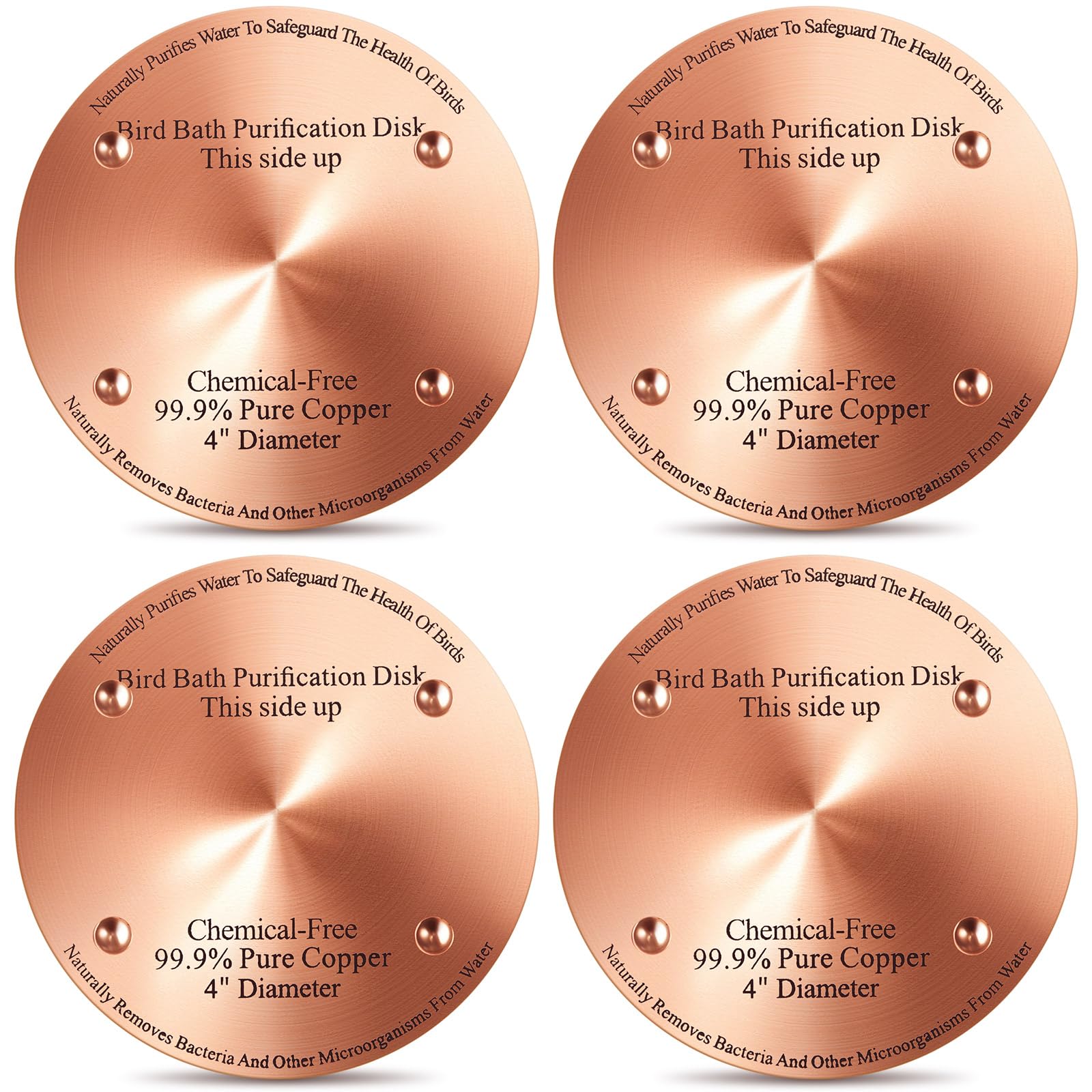 MorningRo copper bird bath disk, 4 inch, keeps water clear for visiting birds.