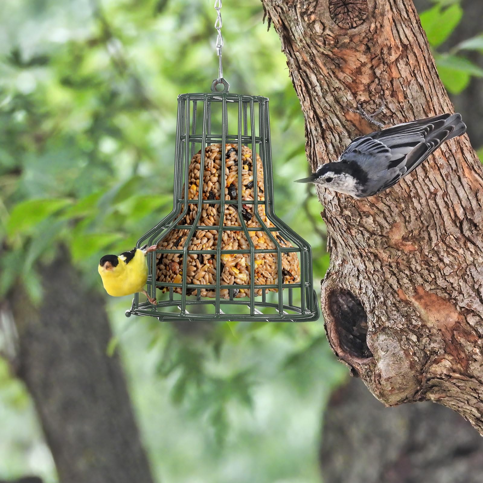 MorningRo bottom-opening design makes refilling bird food quick and clean