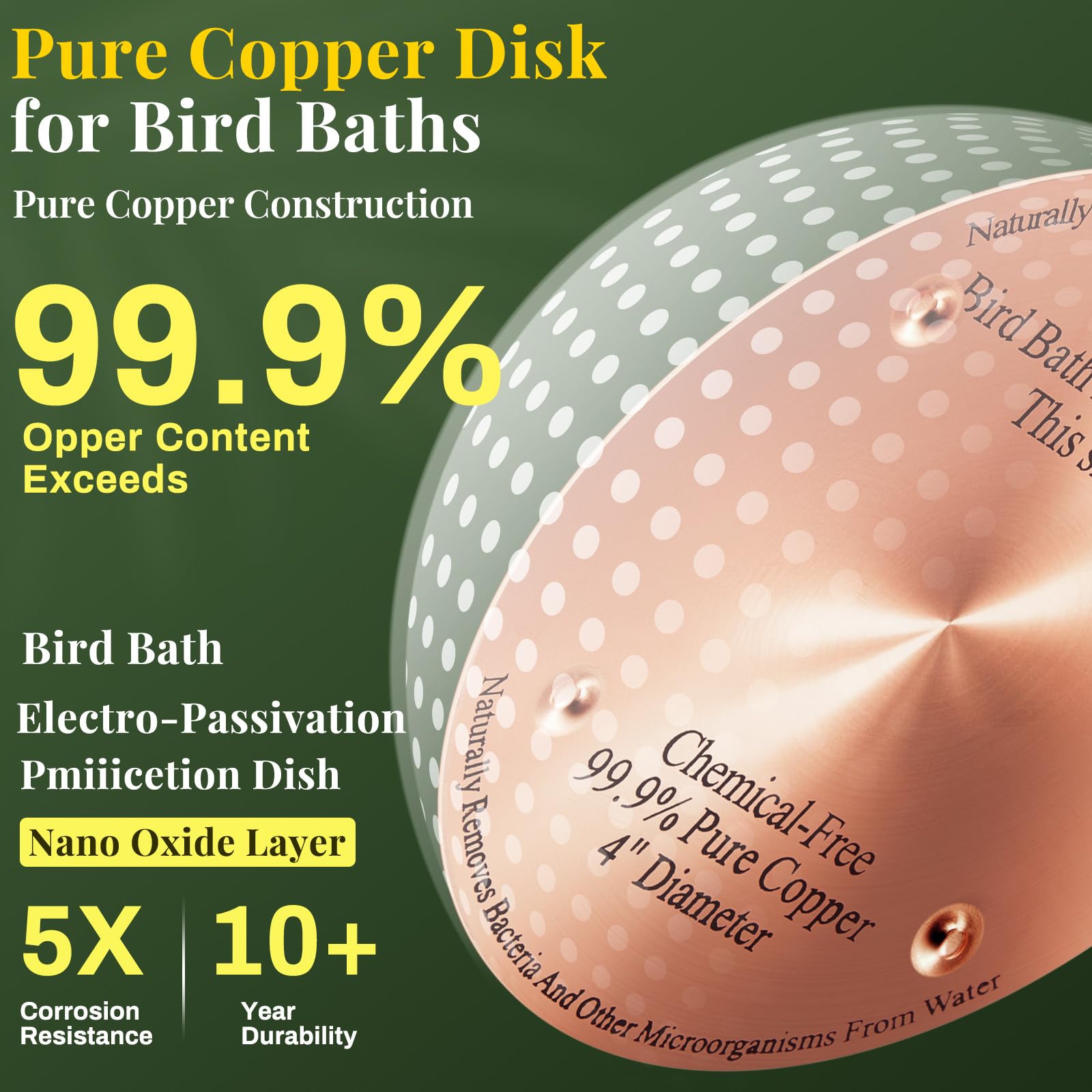 MorningRo disk with 4-point support for even water contact.