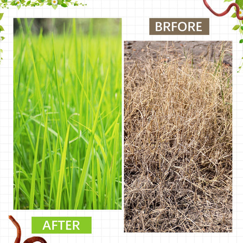 MorningRo 4-pack supports larger waste streams for home gardens.