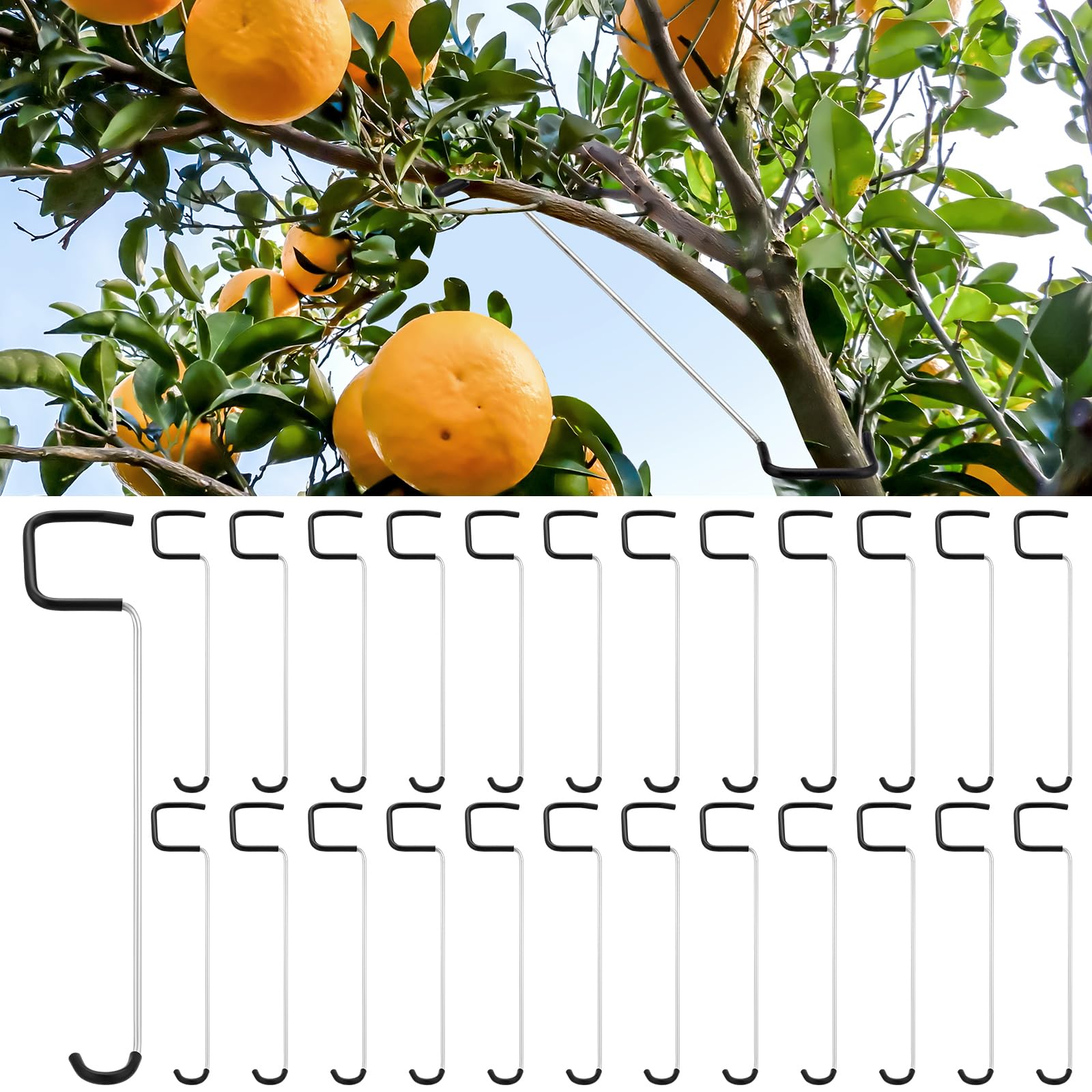 MorningRo fruit tree limb spreaders 7 inch spread branches for better light exposure
