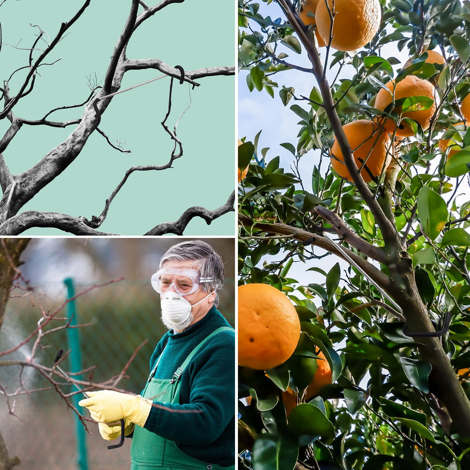 MorningRo fruit tree shaping tool versatile for trees seedlings and flowers