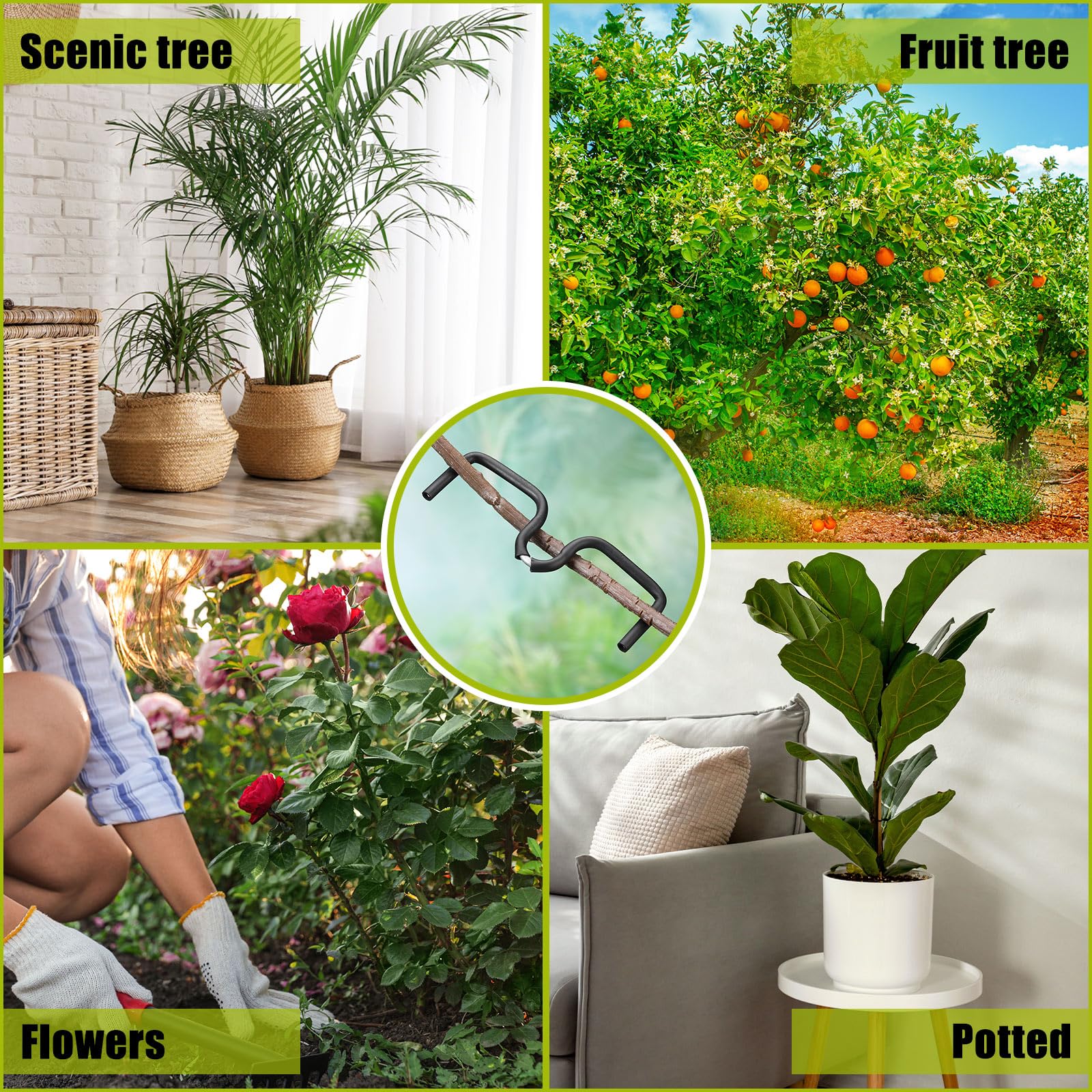 MorningRo multi-function spreader for branches, seedlings, and blooms