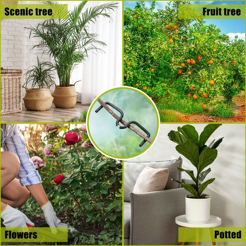 MorningRo multi-function spreader for branches, seedlings, and blooms