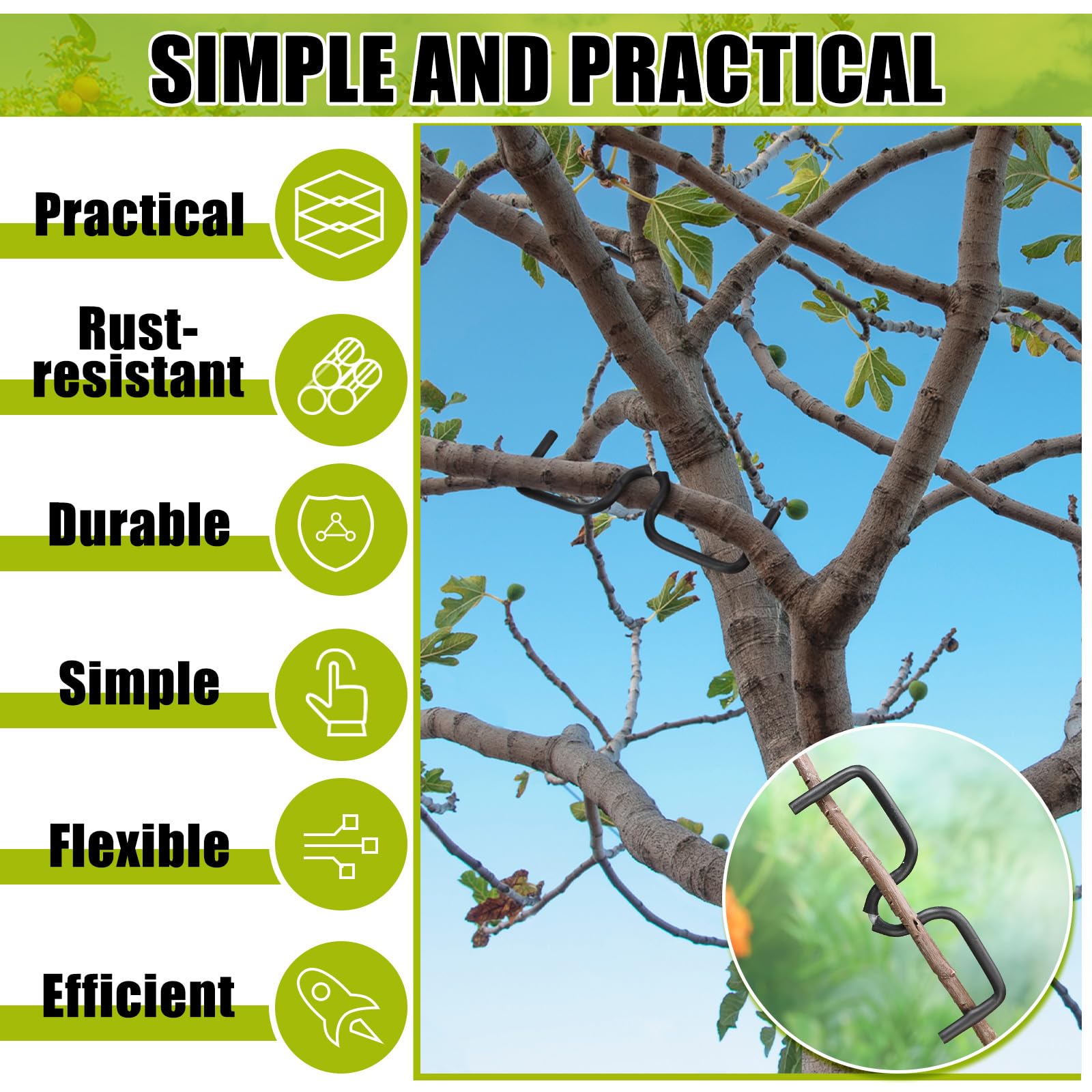 MorningRo open-angle training spreader promoting balanced tree growth