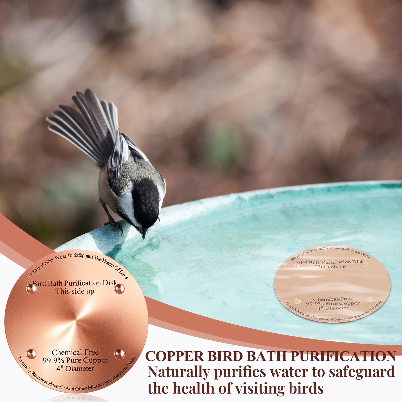 MorningRo outdoor birdbath disk enhances cleanliness for feathered visitors.