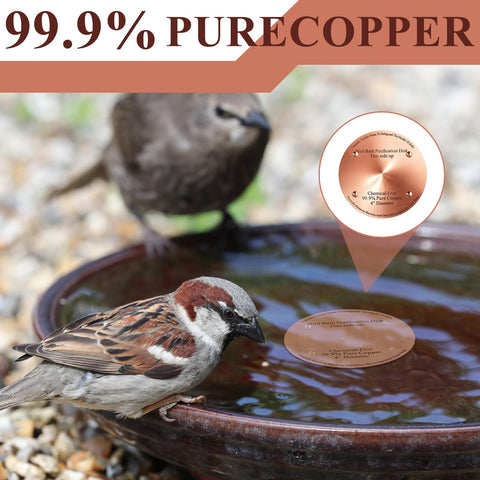 MorningRo pure copper disk designed for long-lasting bird bath cleansing.