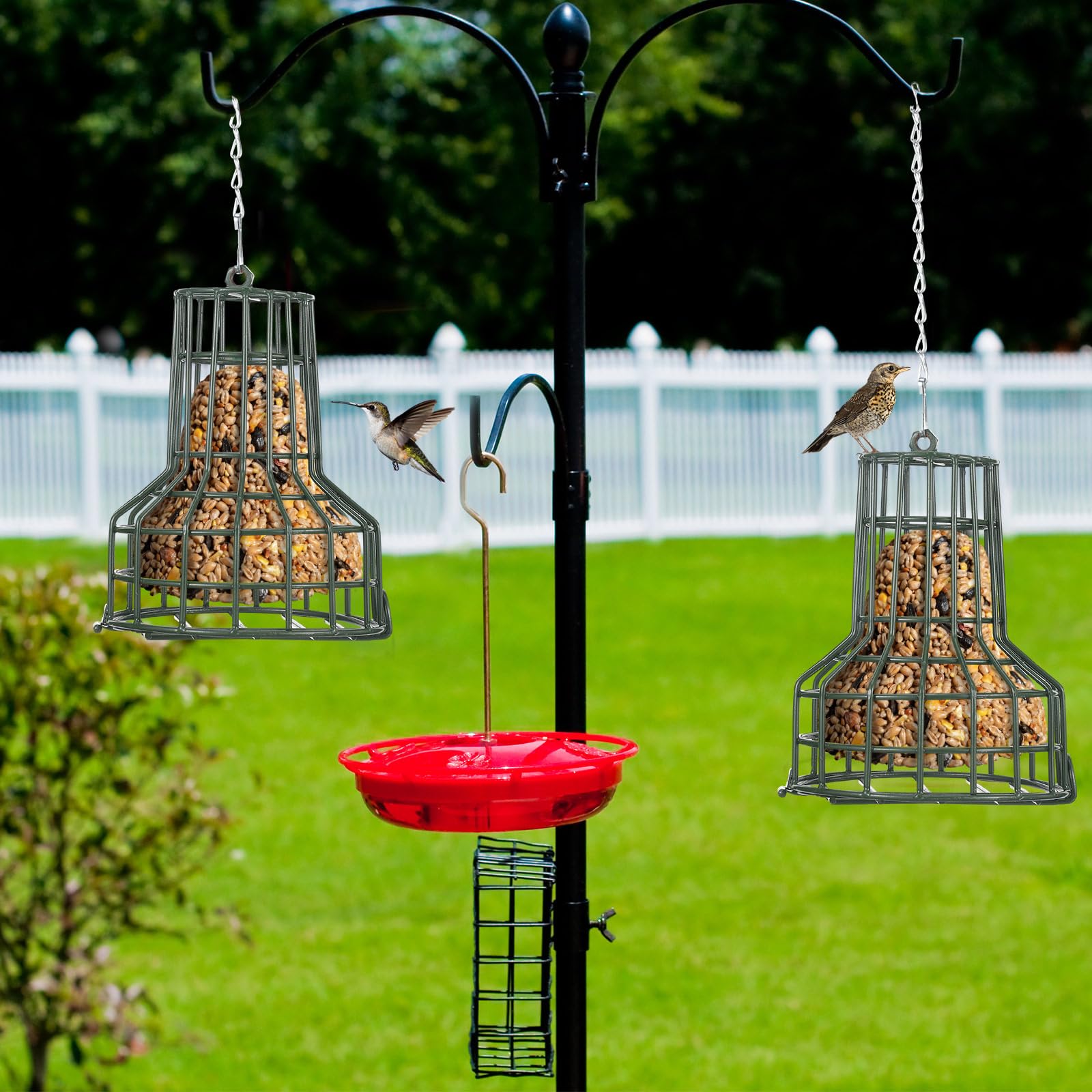 MorningRo S-8 seed cake capacity fits standard cakes for multiple birds