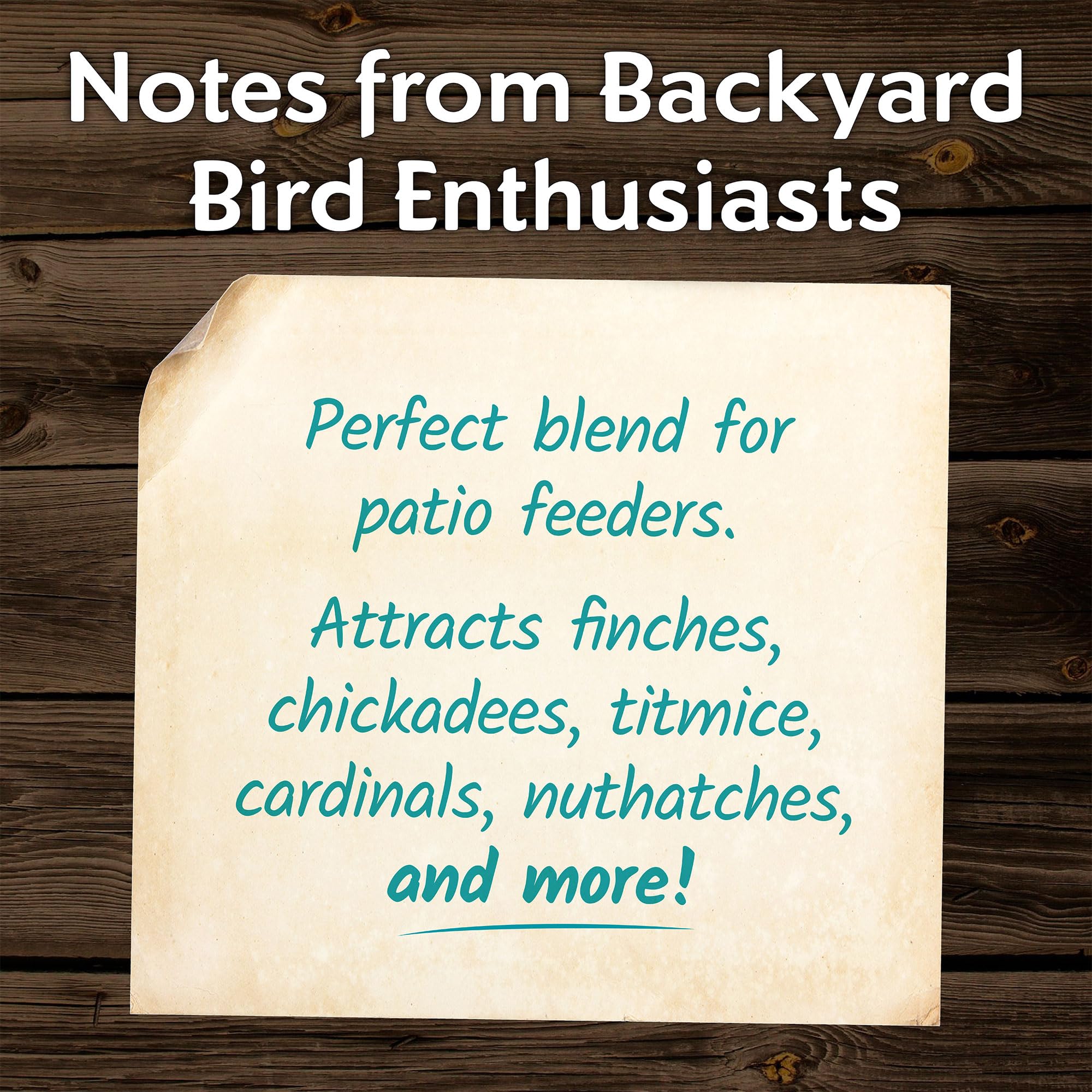 Morning Song high-energy mix fuels birds for year-round outdoor feeding