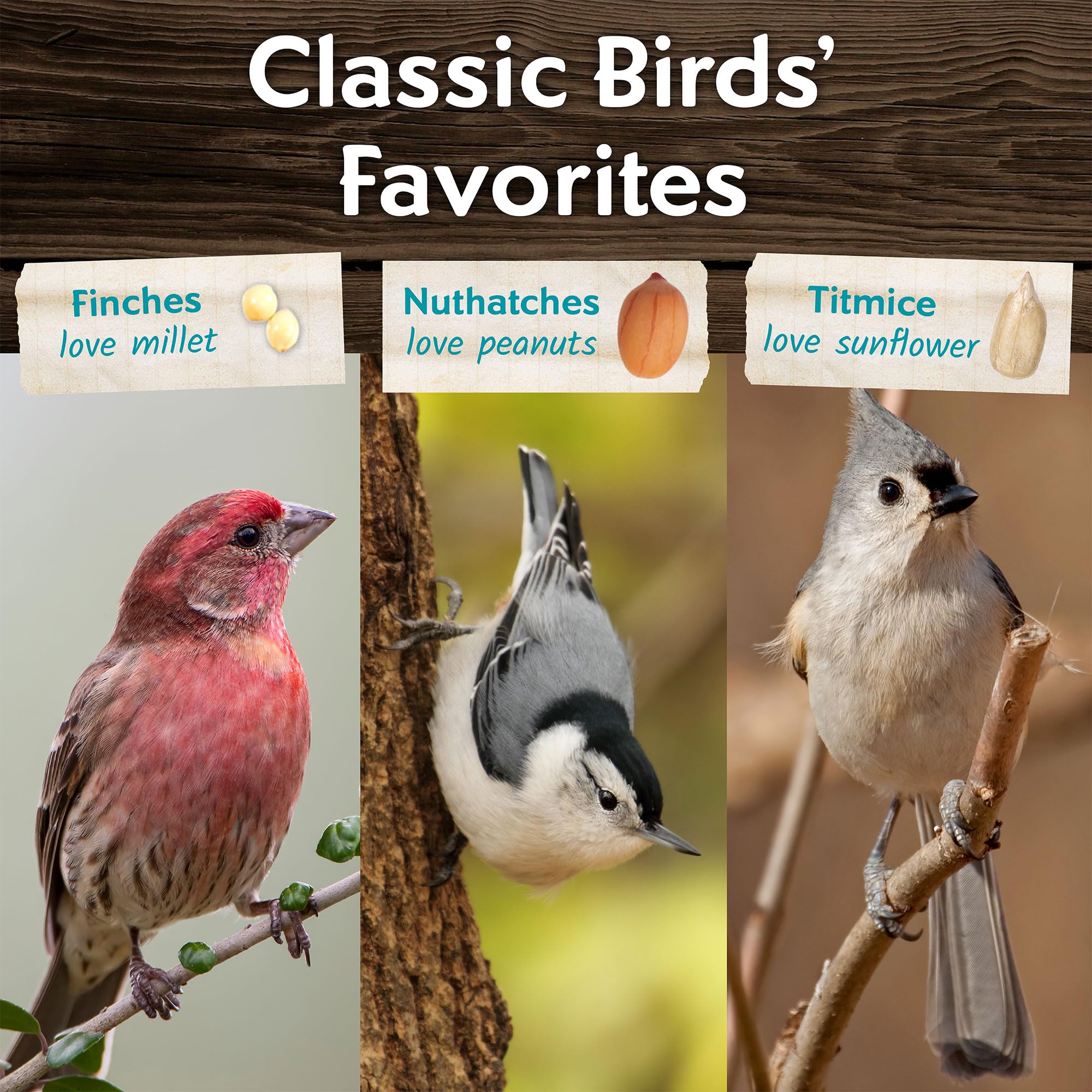 Morning Song outdoor seed ideal for tube, tray, and platform feeders