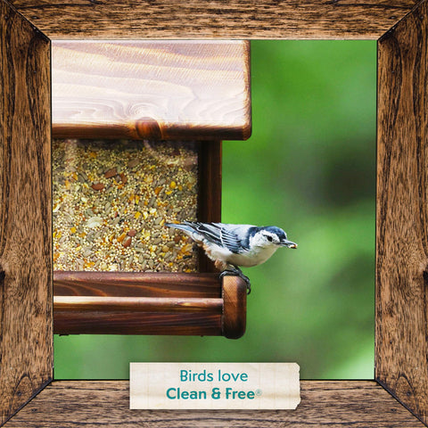Morning Song no-waste blend enhances birdwatching from your deck