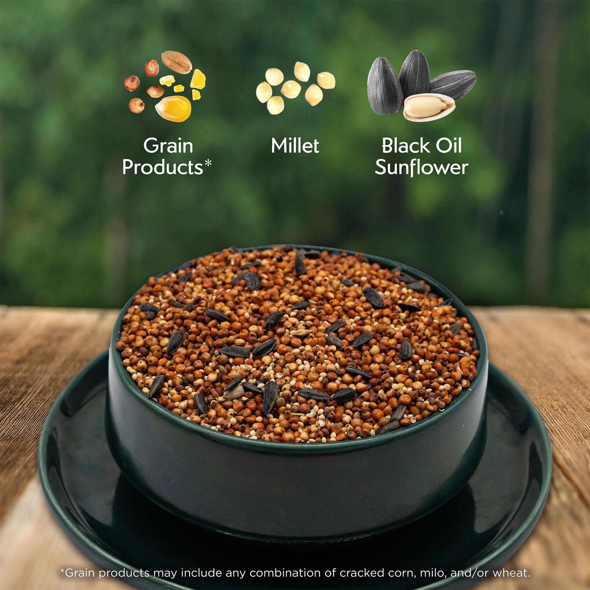 Morning Song Quail Ground Feeder shows easy-access seeds for quail and ground birds.