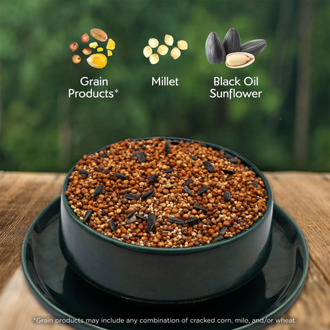 Morning Song Quail Ground Feeder shows easy-access seeds for quail and ground birds.