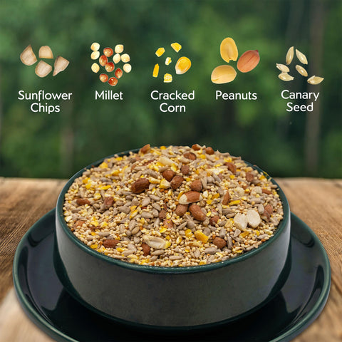 Morning Song shell-free blend with sunflower chips and peanuts for quick energy