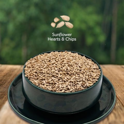 Morning Song sunflower hearts chips birdfeeder outdoors for mess-free feeding.