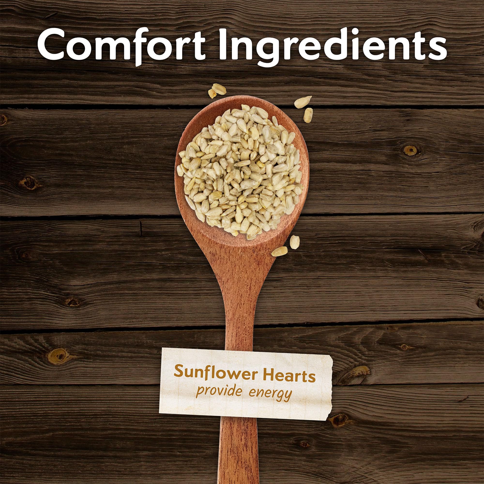 Morning Song sunflower hearts chips in feeder demonstrates high-energy nutrition for birds.
