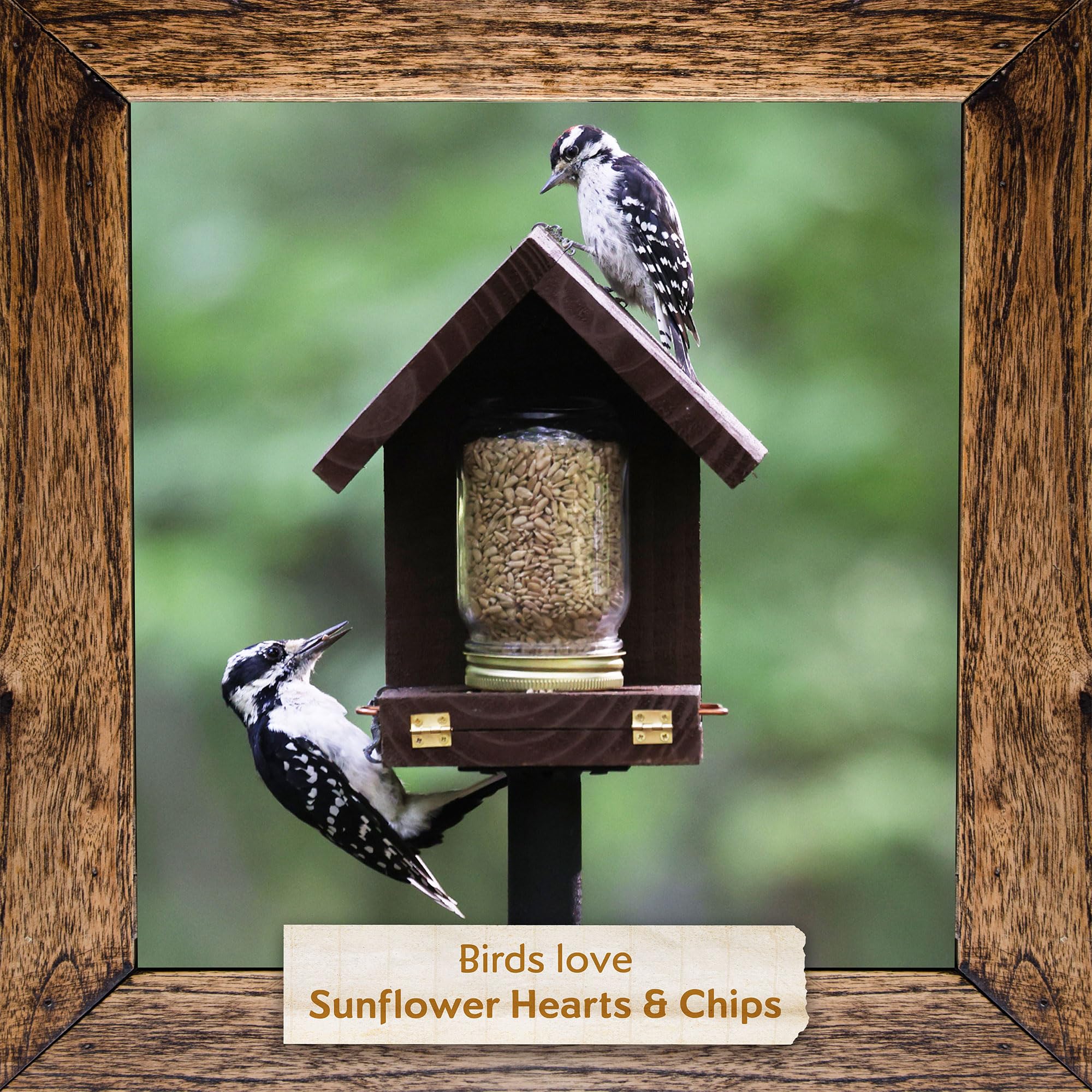 Morning Song sunflower hearts chips storage kept neat and easy to handle.