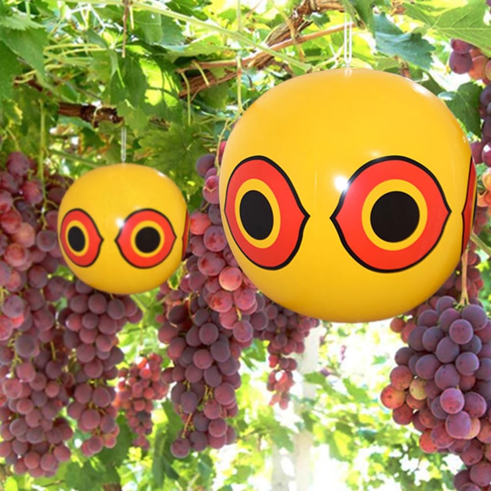 MorTime garden balloon provides humane deterrence near fruit trees and balconies