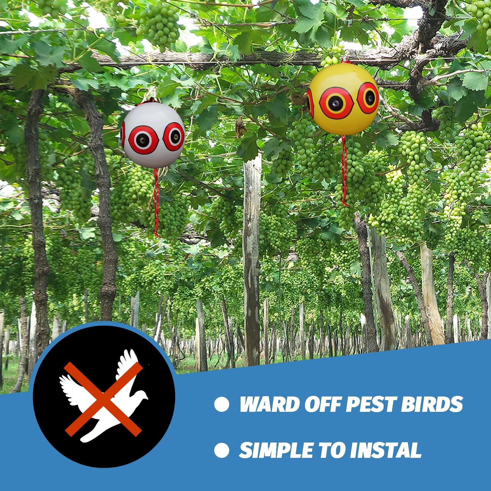 MorTime balloon deters birds along pool edges and water features