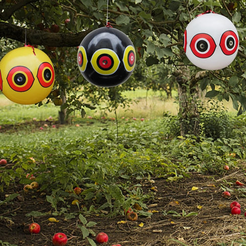 Durable MorTime balloon withstands sun and rain for outdoor use