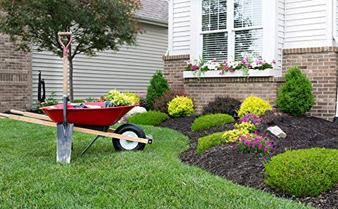 Morvat 1-year warranty provides peace of mind.