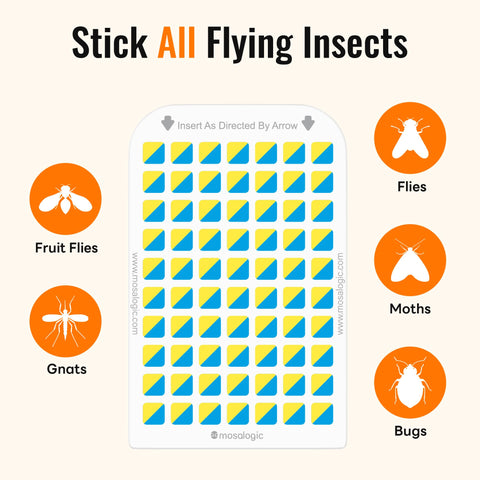 Mosalogic sticky card refill close-up showing adhesive surface for insects