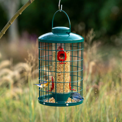Mosloly 3lb seed capacity emphasizes ample seed supply for busy days.