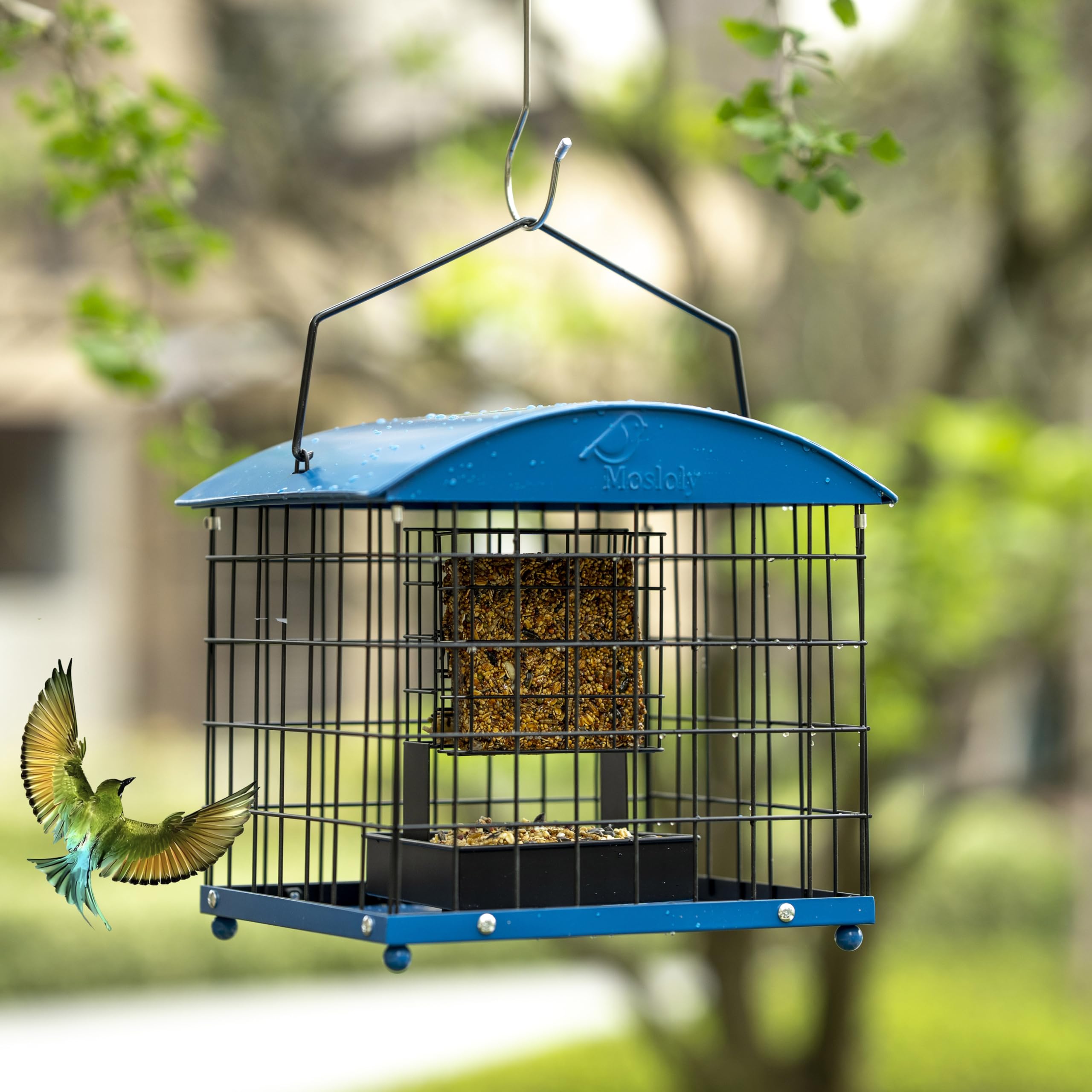 Mosloly blue caged feeder hanging outdoors in a garden scene