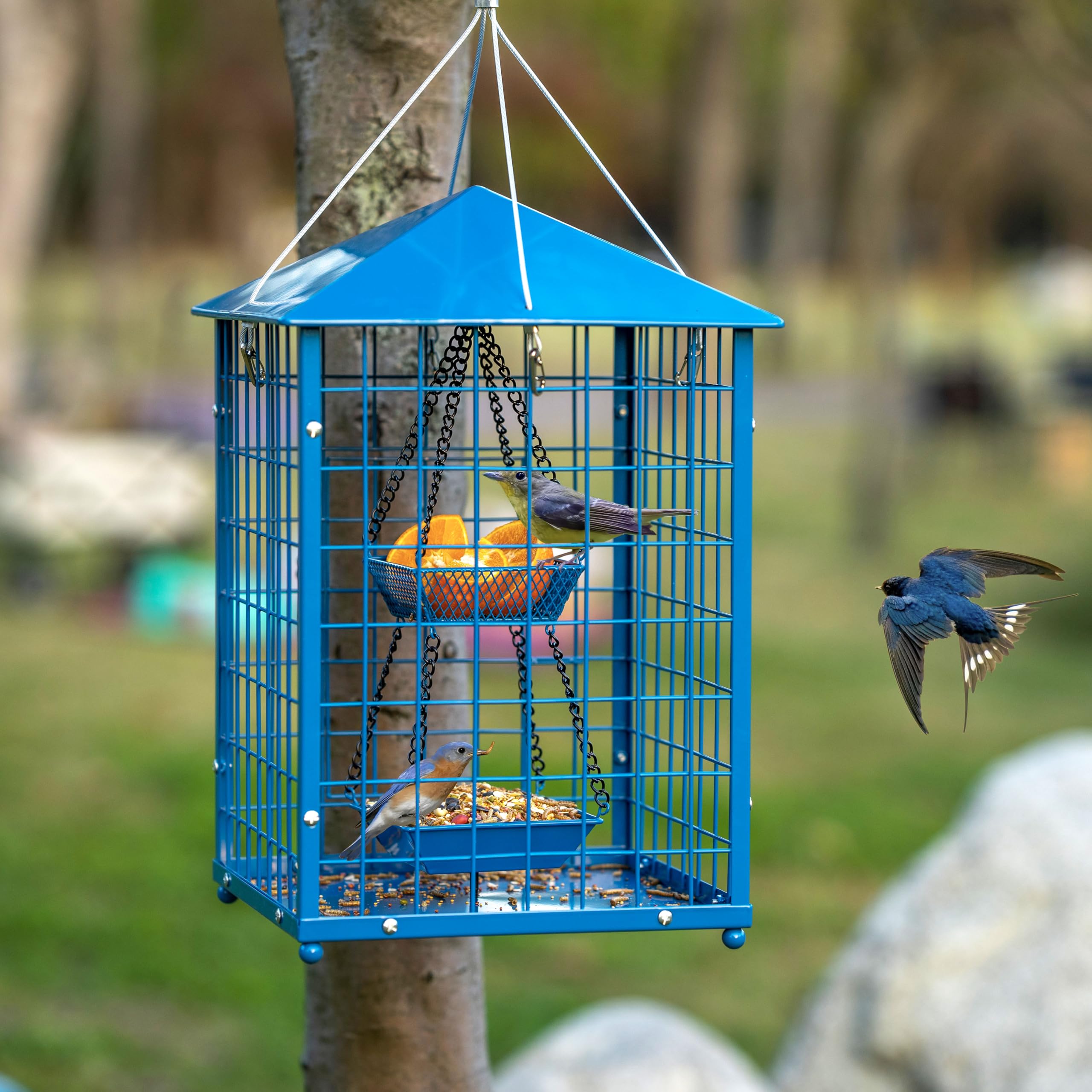 Mosloly Bluebird Feeder showing weatherproof roof for all-season outdoor feeding.