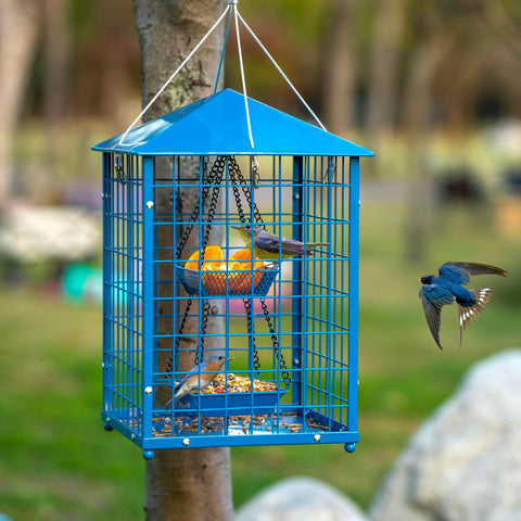 Mosloly Bluebird Feeder showing weatherproof roof for all-season outdoor feeding.
