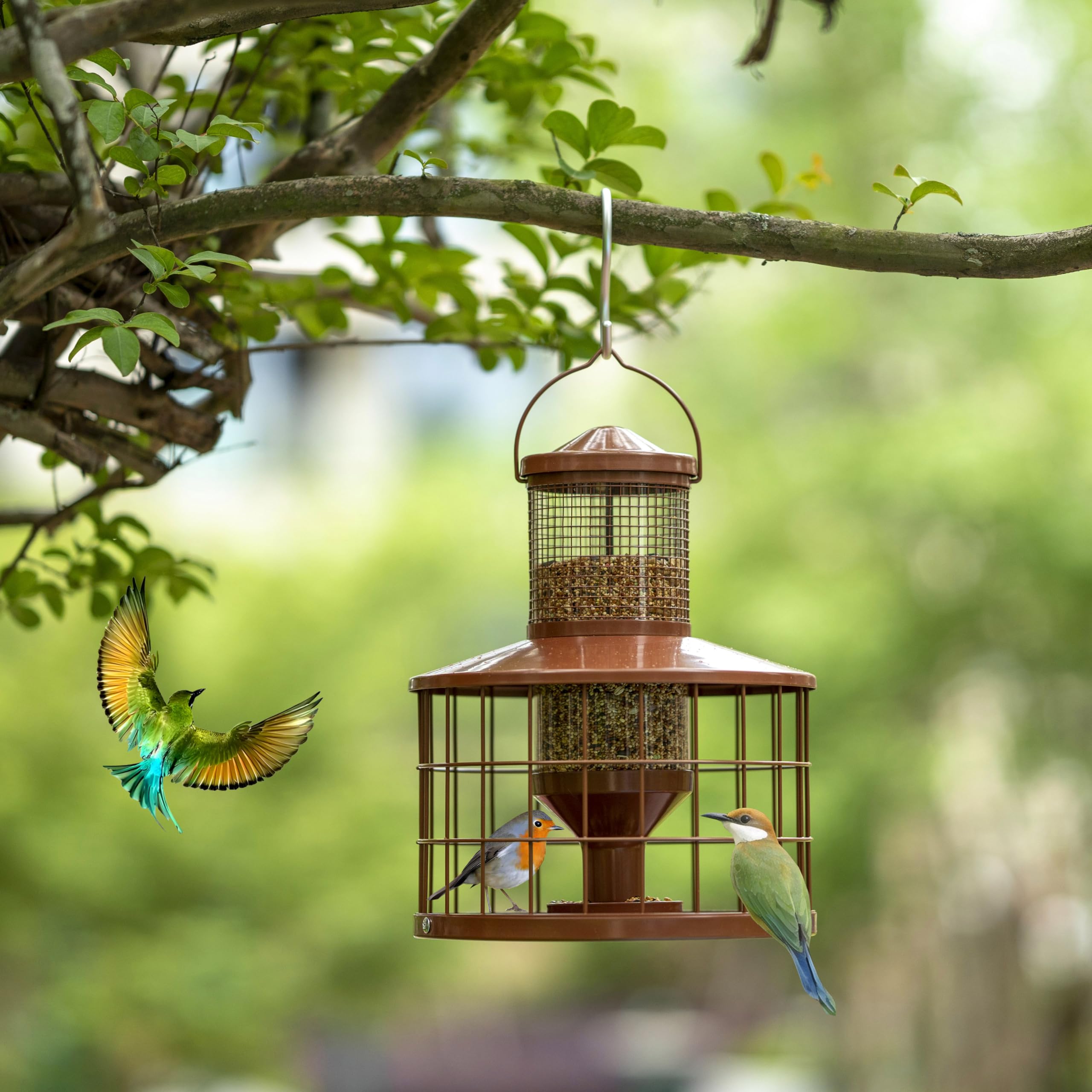 Mosloly caged bird feeder clear tube shows seed level at a glance.